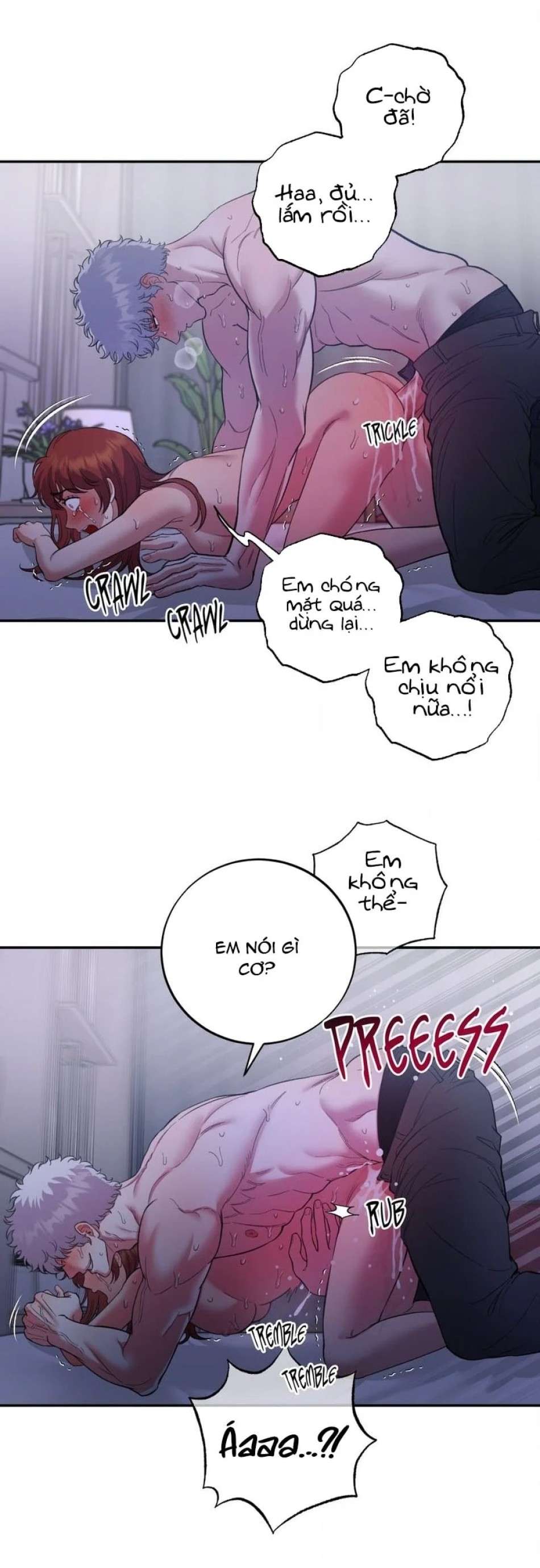 Một Lòng Một Dạ 