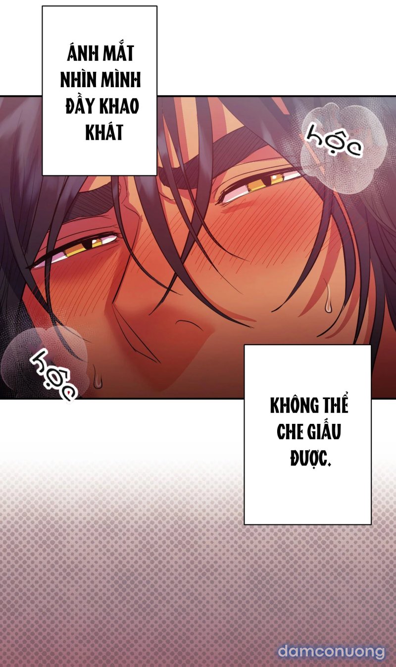 Một Lòng Một Dạ 