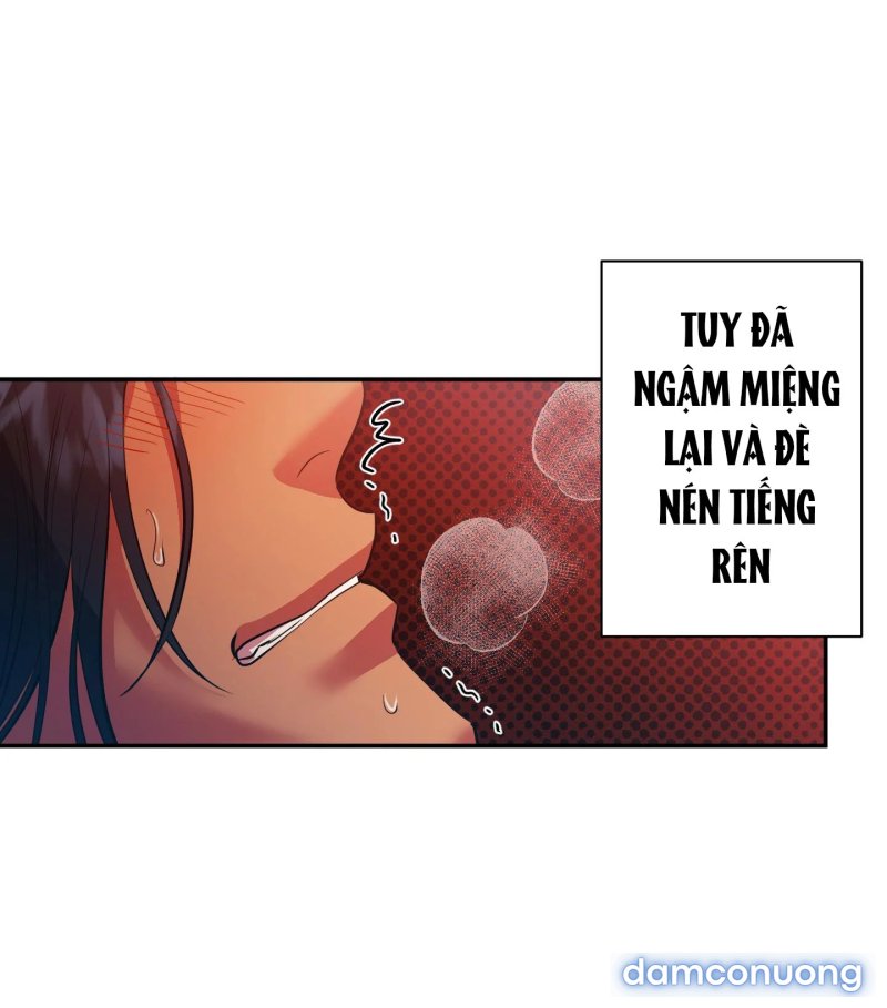 Một Lòng Một Dạ 