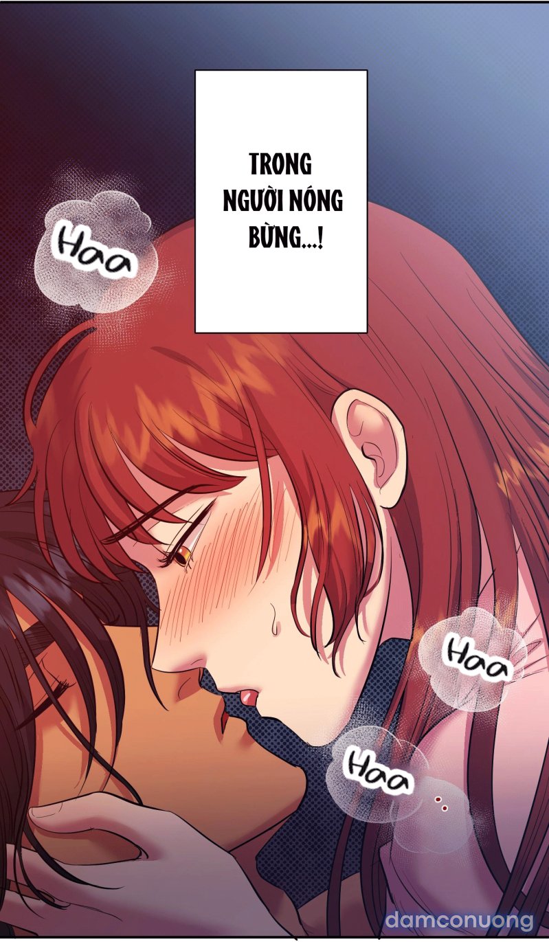 Một Lòng Một Dạ 