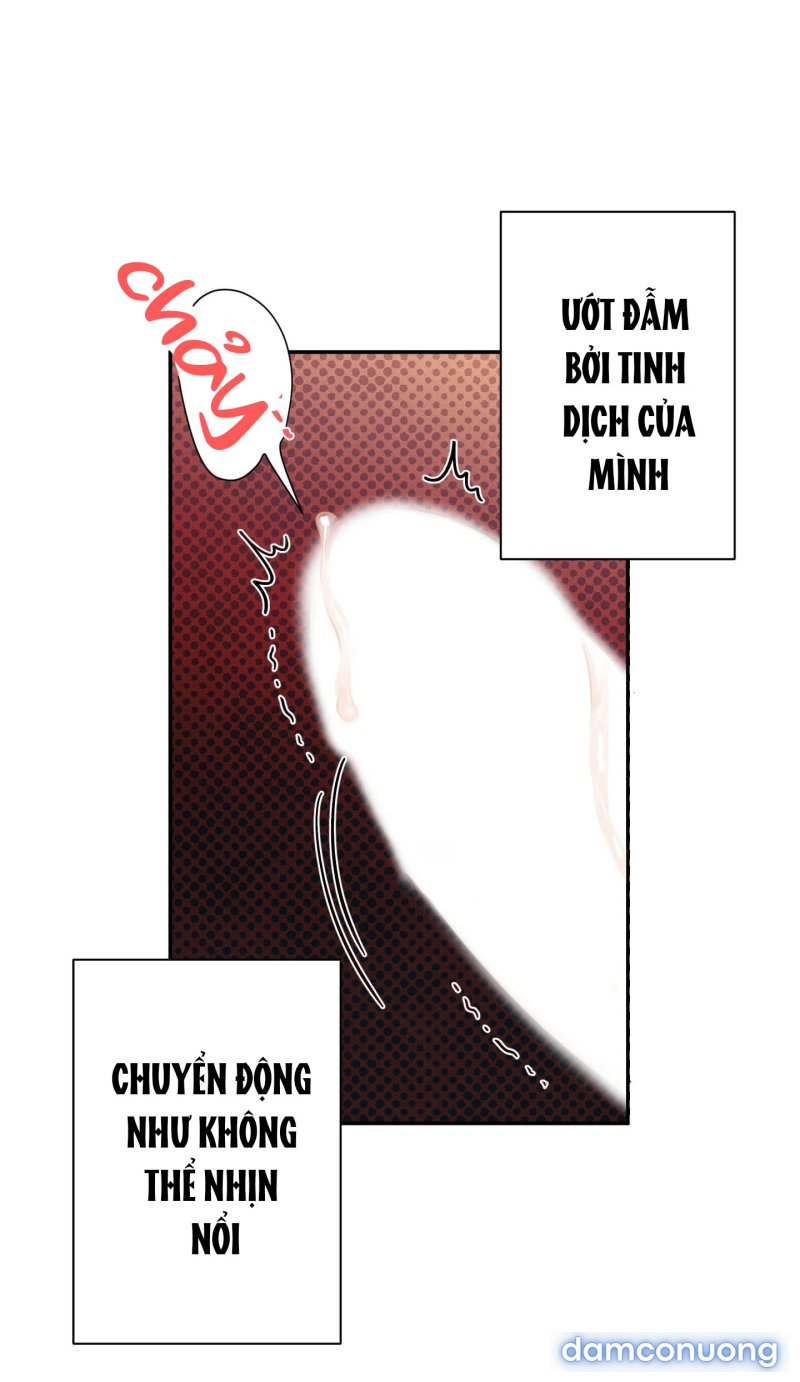 Một Lòng Một Dạ 