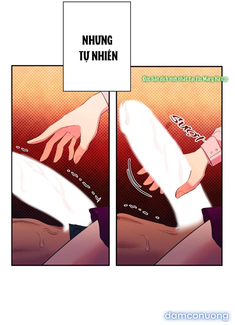 Một Lòng Một Dạ 