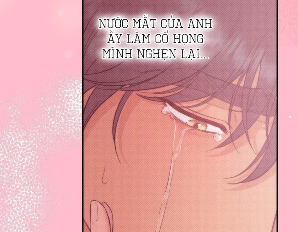 Một Lòng Một Dạ 