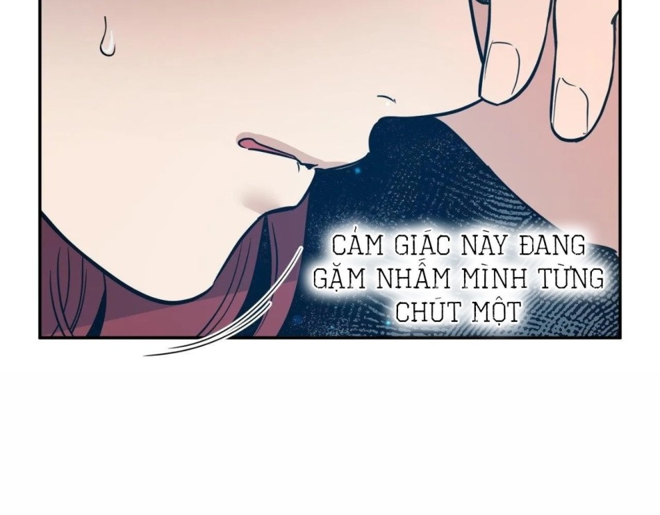 Một Lòng Một Dạ 