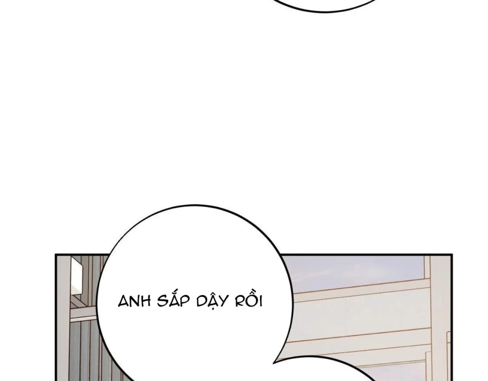 Một Lòng Một Dạ 
