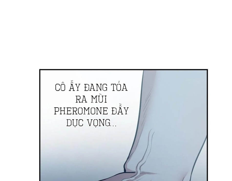 Một Lòng Một Dạ 