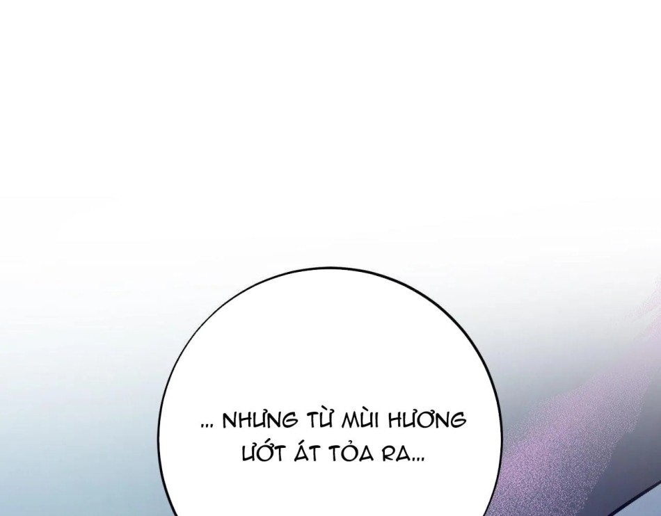 Một Lòng Một Dạ 
