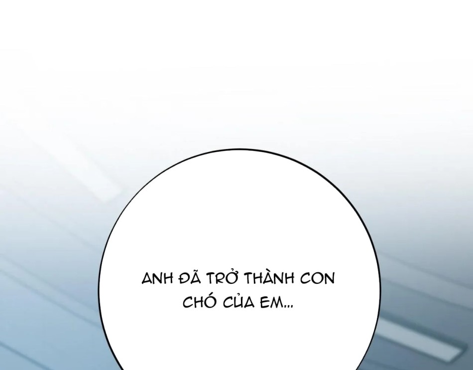 Một Lòng Một Dạ 