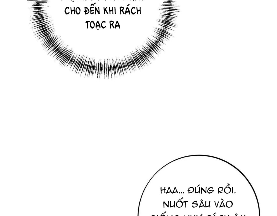 Một Lòng Một Dạ 