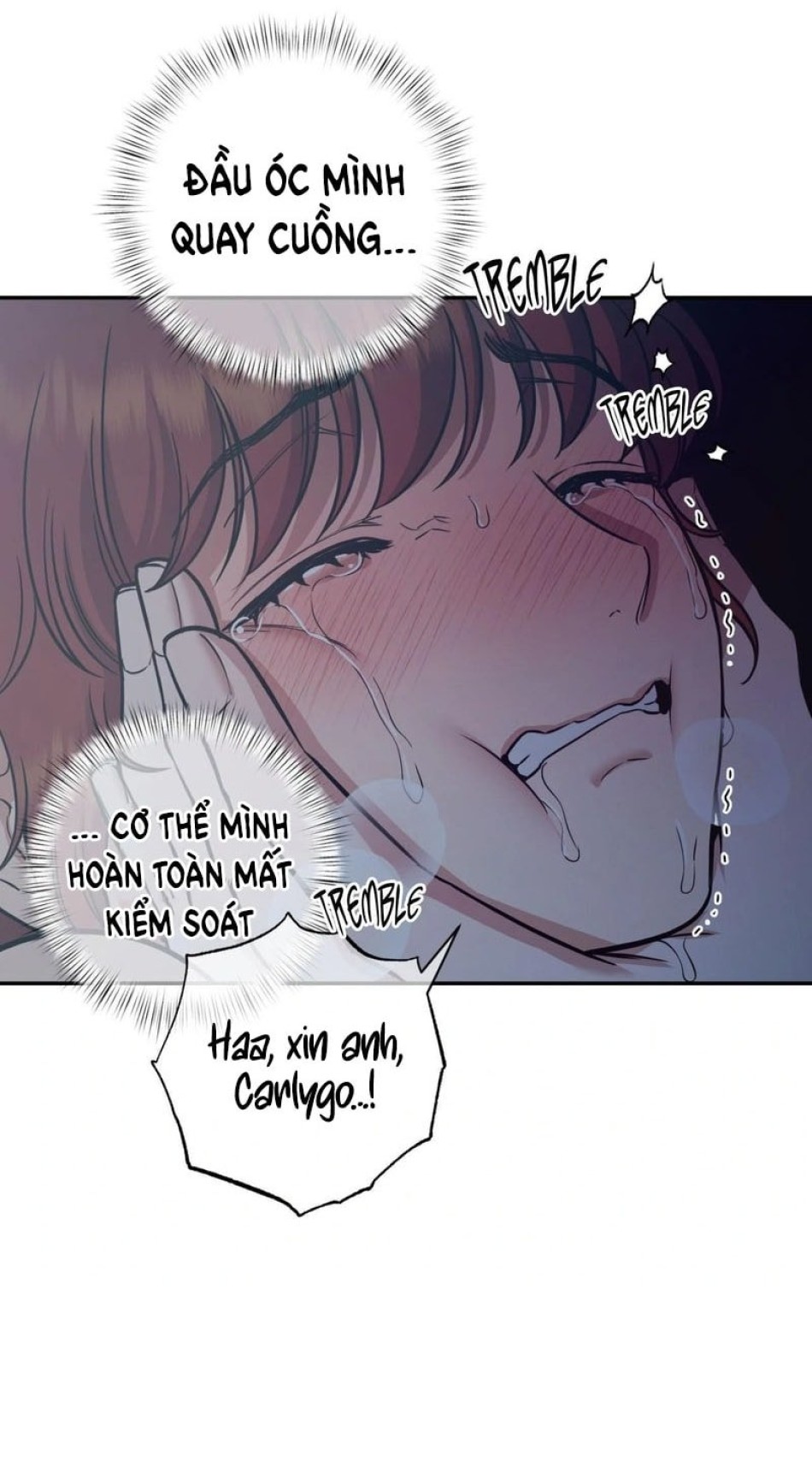 Một Lòng Một Dạ 
