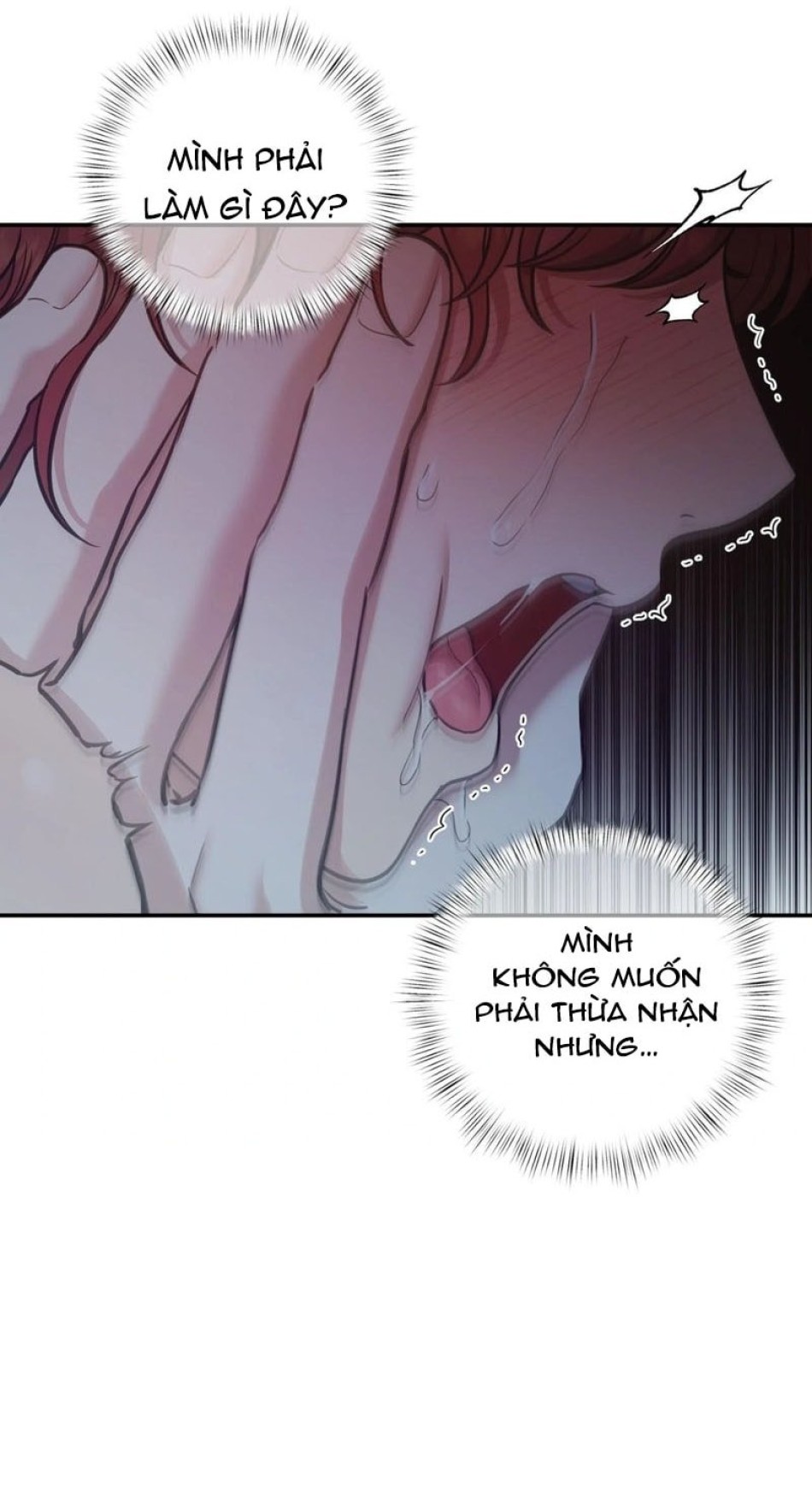 Một Lòng Một Dạ 