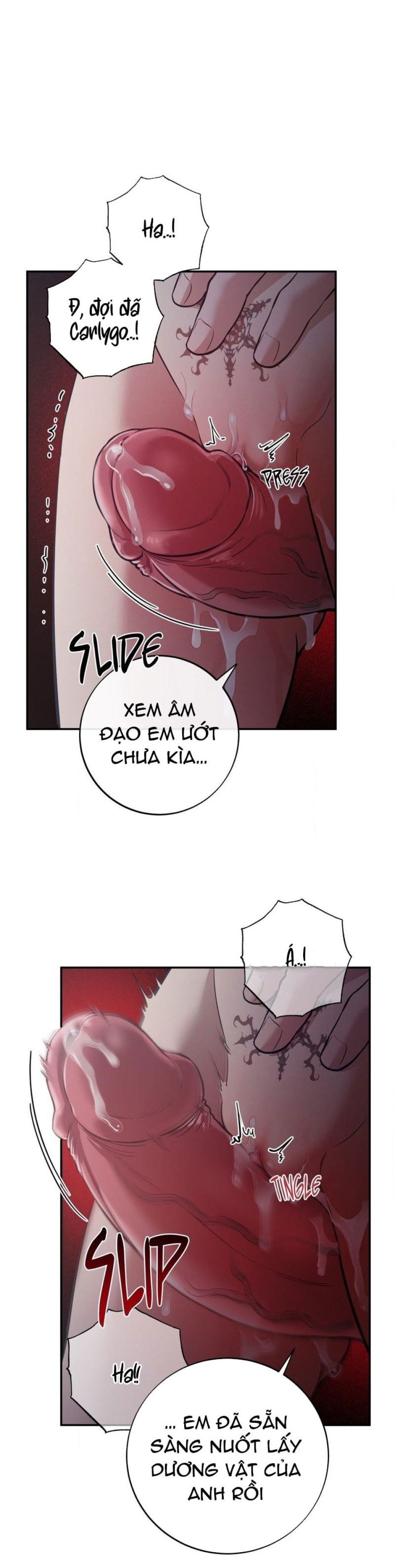 Một Lòng Một Dạ 