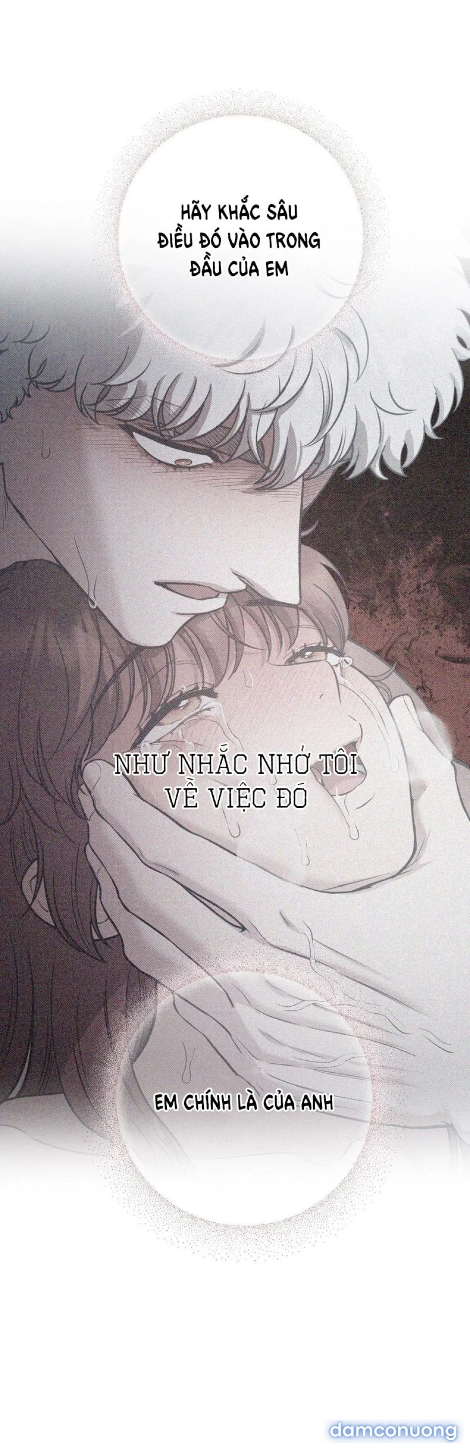 Một Lòng Một Dạ 
