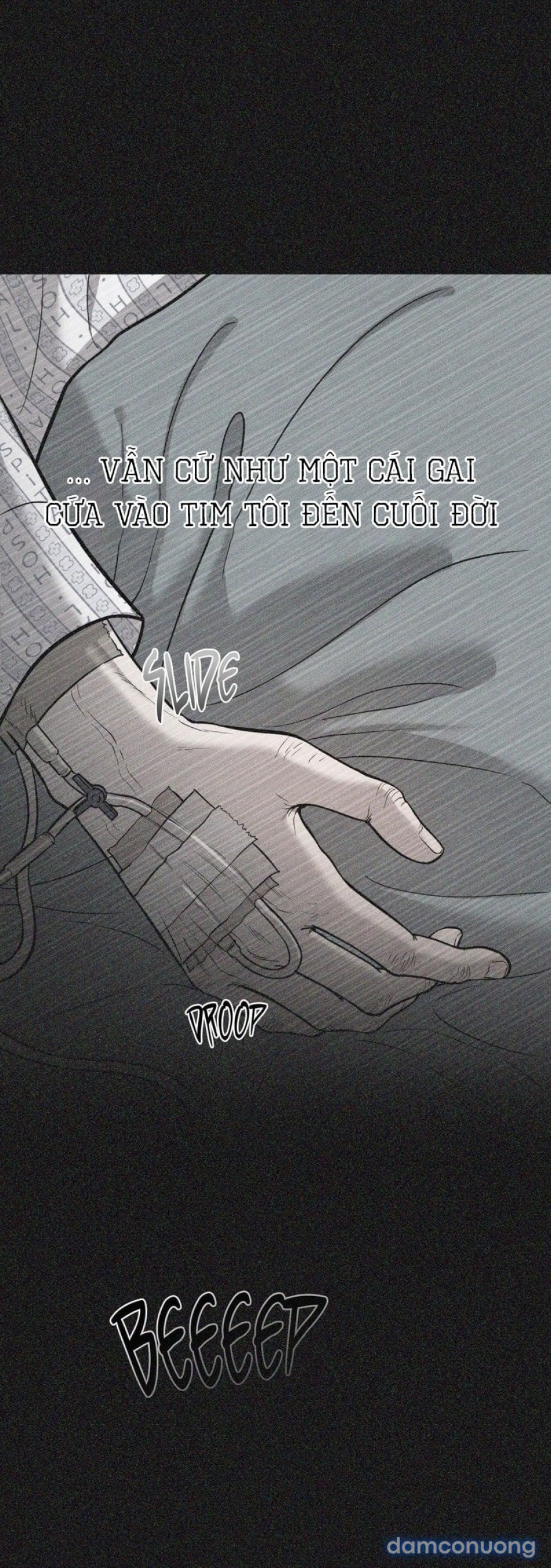 Một Lòng Một Dạ 