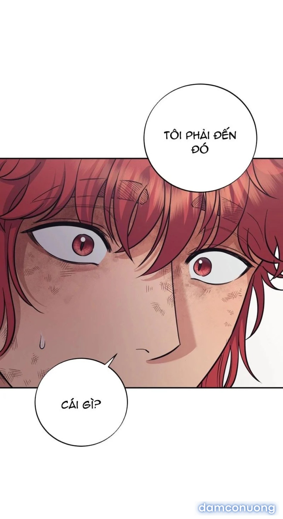 Một Lòng Một Dạ 