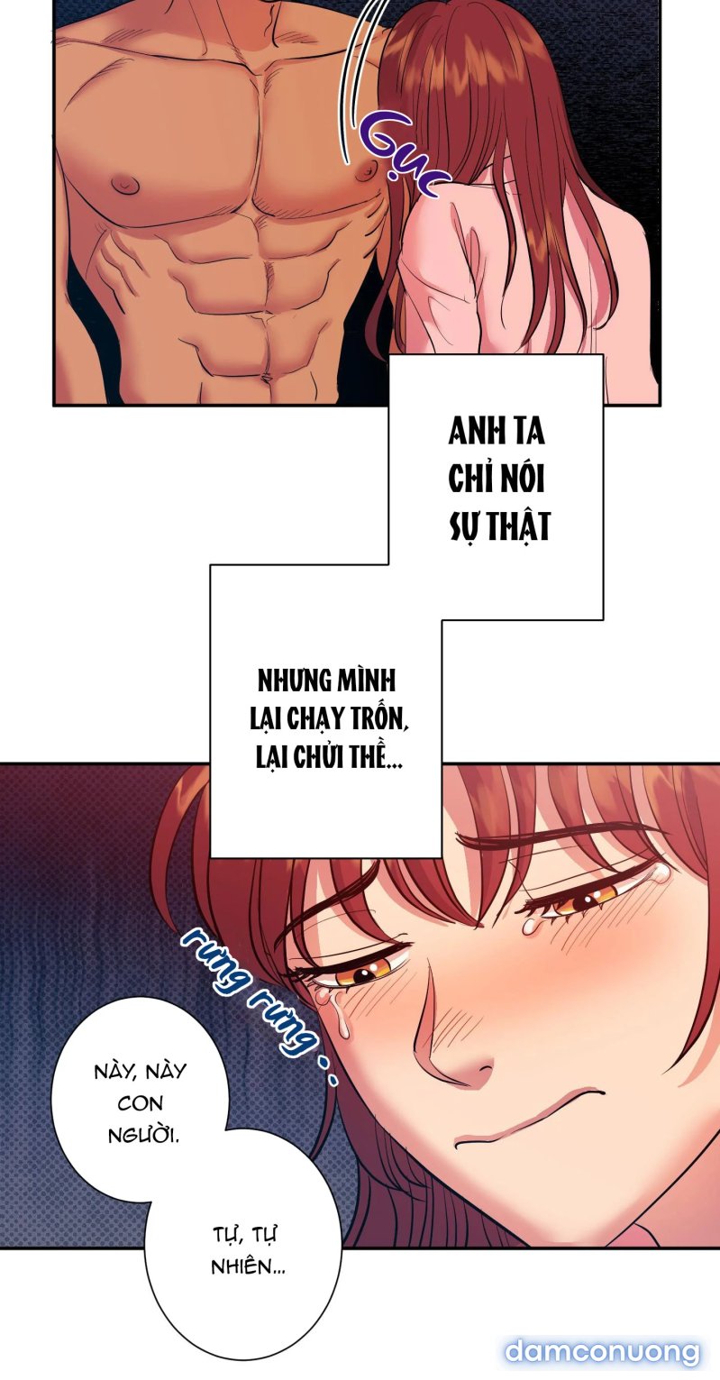 Một Lòng Một Dạ 
