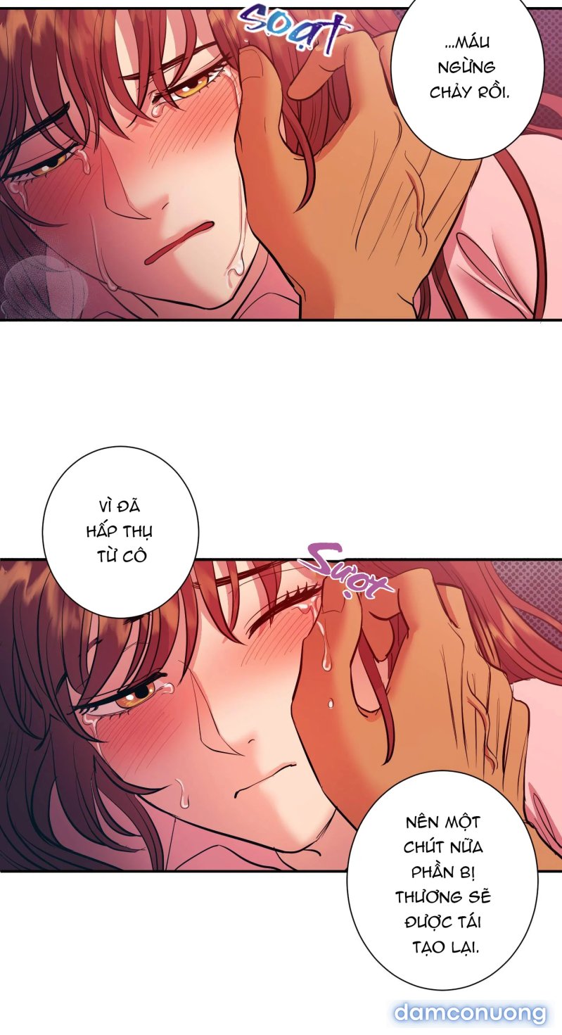 Một Lòng Một Dạ 
