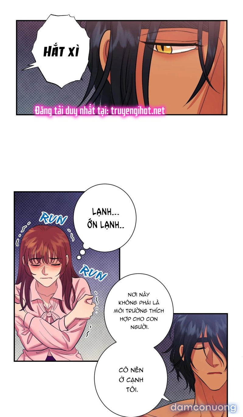 Một Lòng Một Dạ 