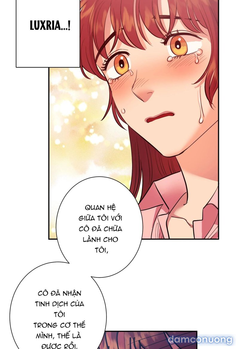 Một Lòng Một Dạ 