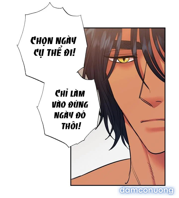 Một Lòng Một Dạ 