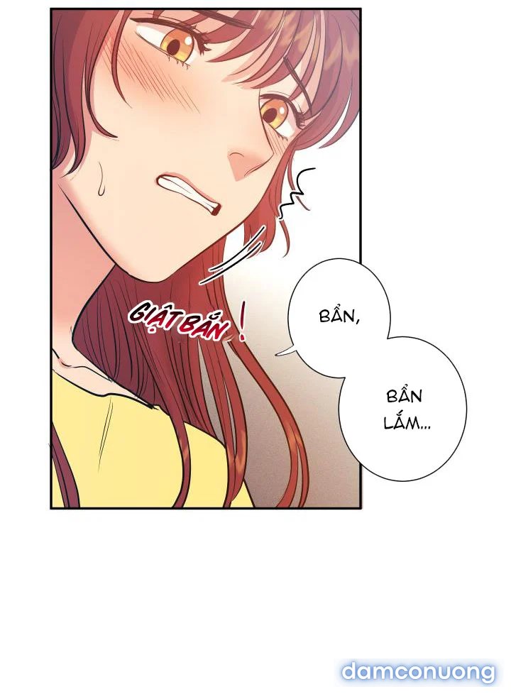 Một Lòng Một Dạ 