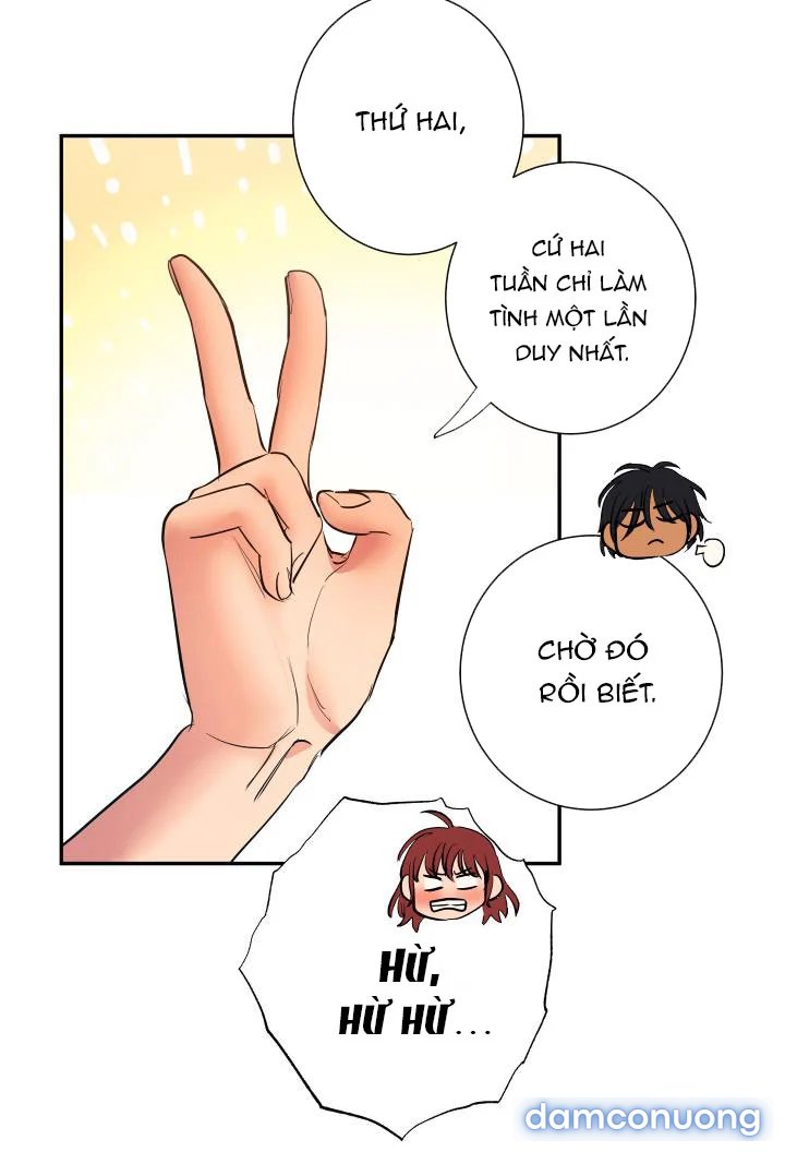 Một Lòng Một Dạ 