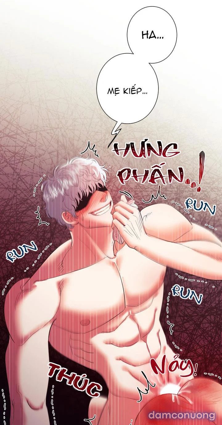 Một Lòng Một Dạ 
