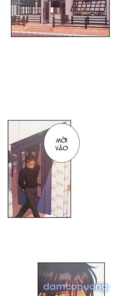 Một Lòng Một Dạ 