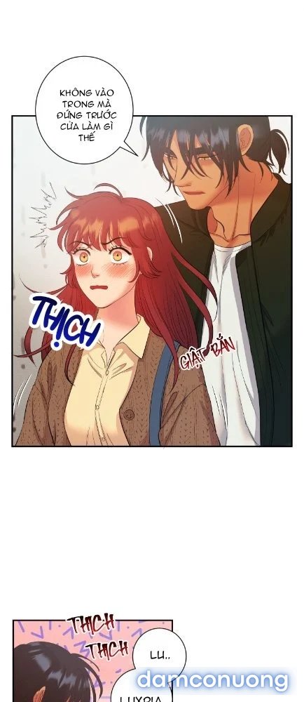 Một Lòng Một Dạ 