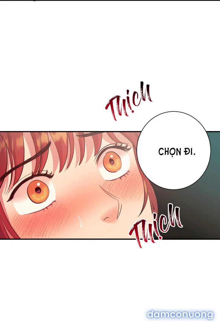 Một Lòng Một Dạ 