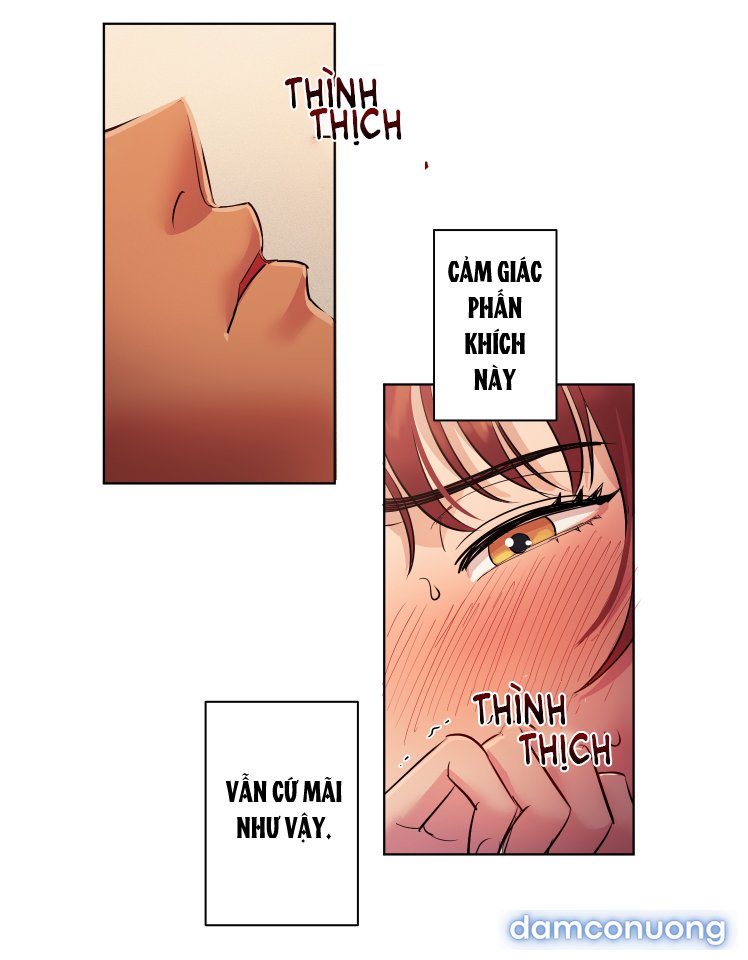Một Lòng Một Dạ 