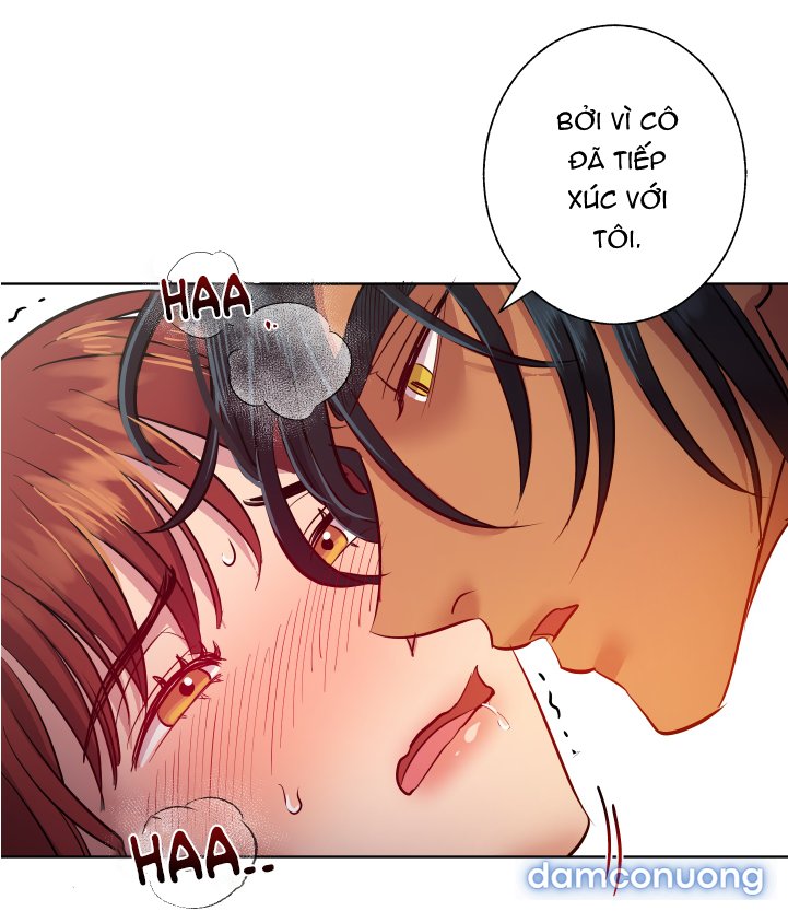 Một Lòng Một Dạ 