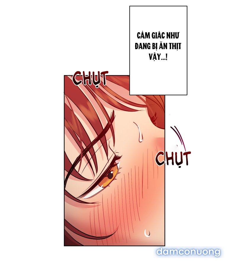 Một Lòng Một Dạ 