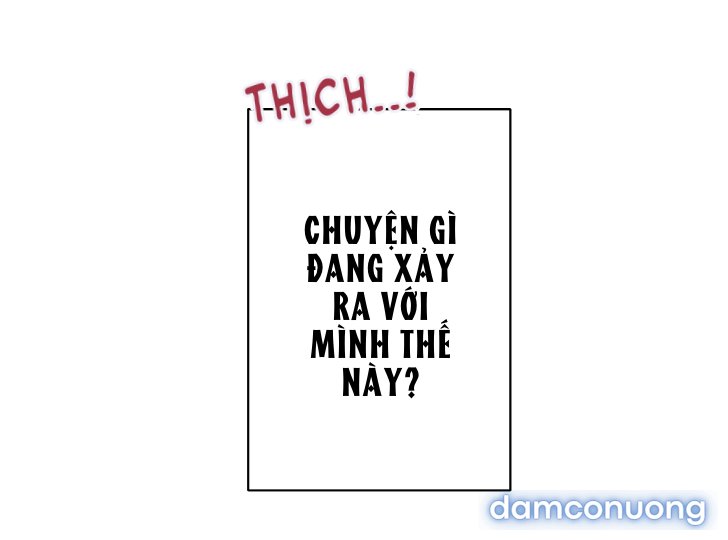 Một Lòng Một Dạ 