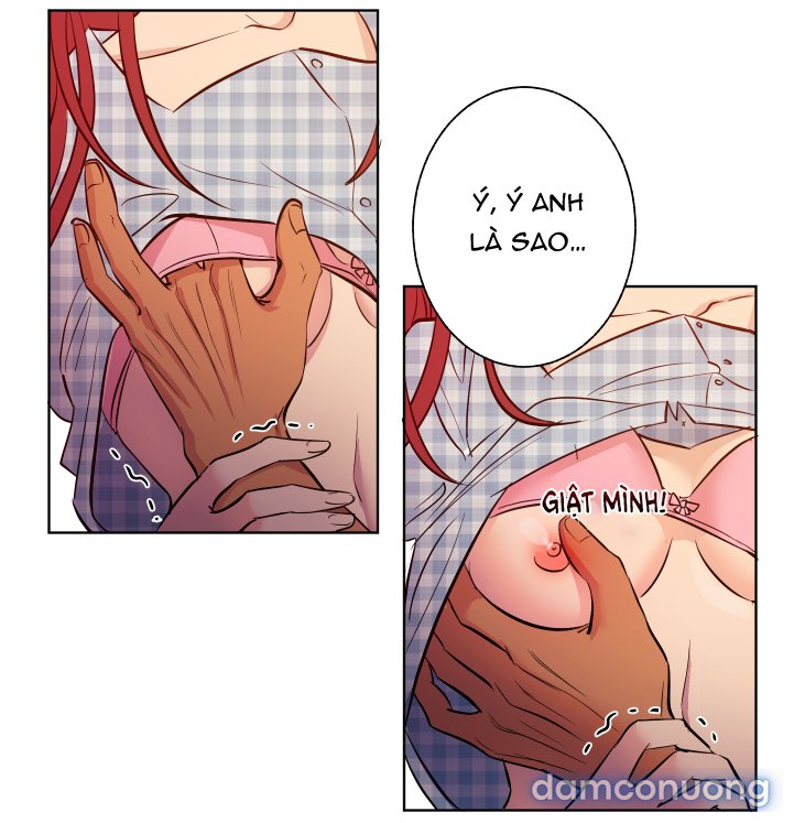 Một Lòng Một Dạ 
