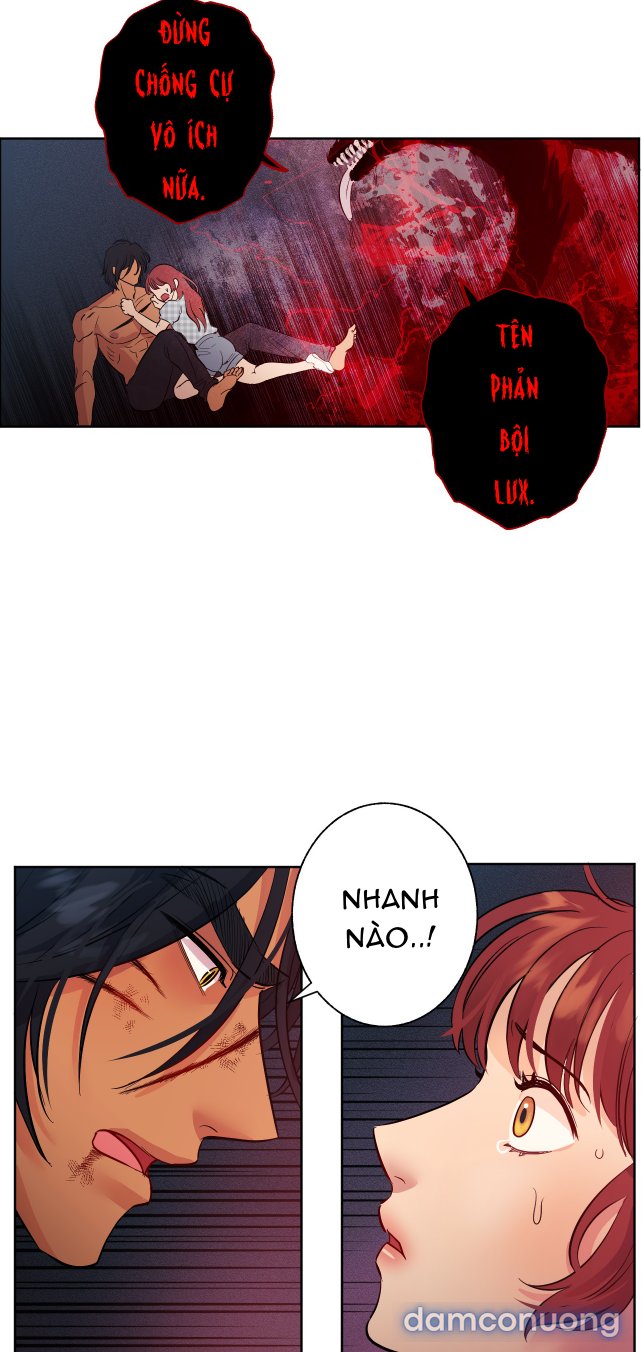 Một Lòng Một Dạ 