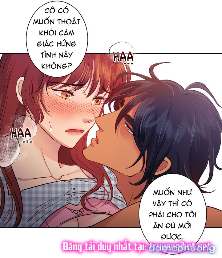 Một Lòng Một Dạ 