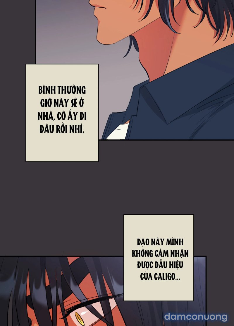 Một Lòng Một Dạ 
