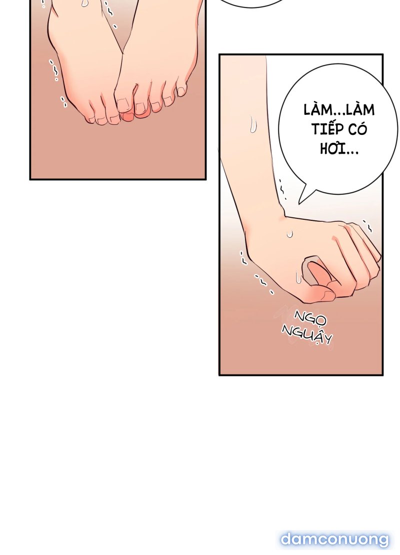 Một Lòng Một Dạ 