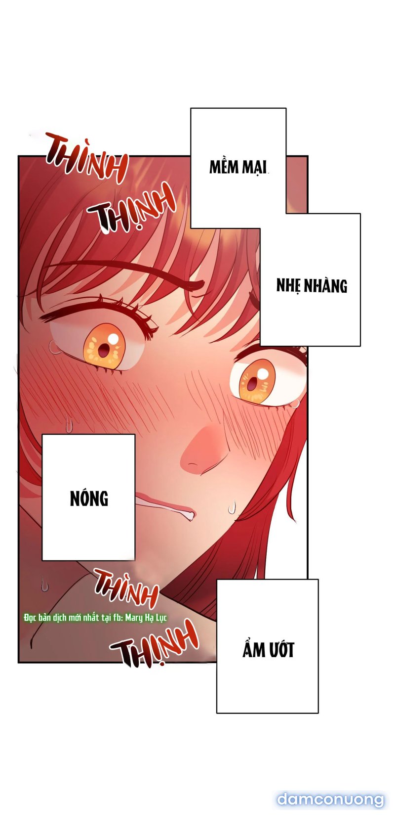 Một Lòng Một Dạ 