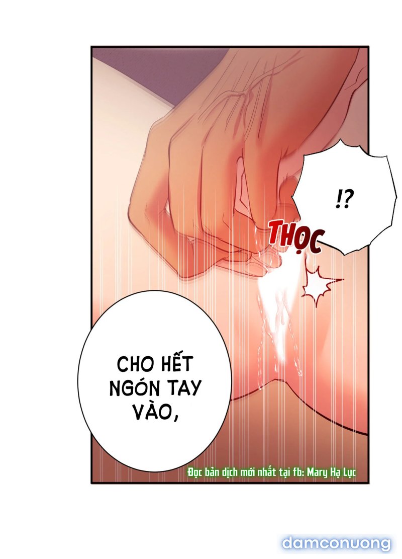 Một Lòng Một Dạ 