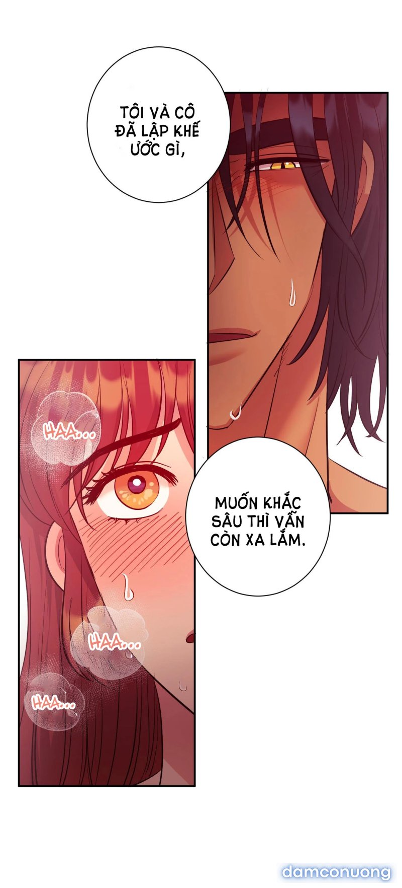 Một Lòng Một Dạ 