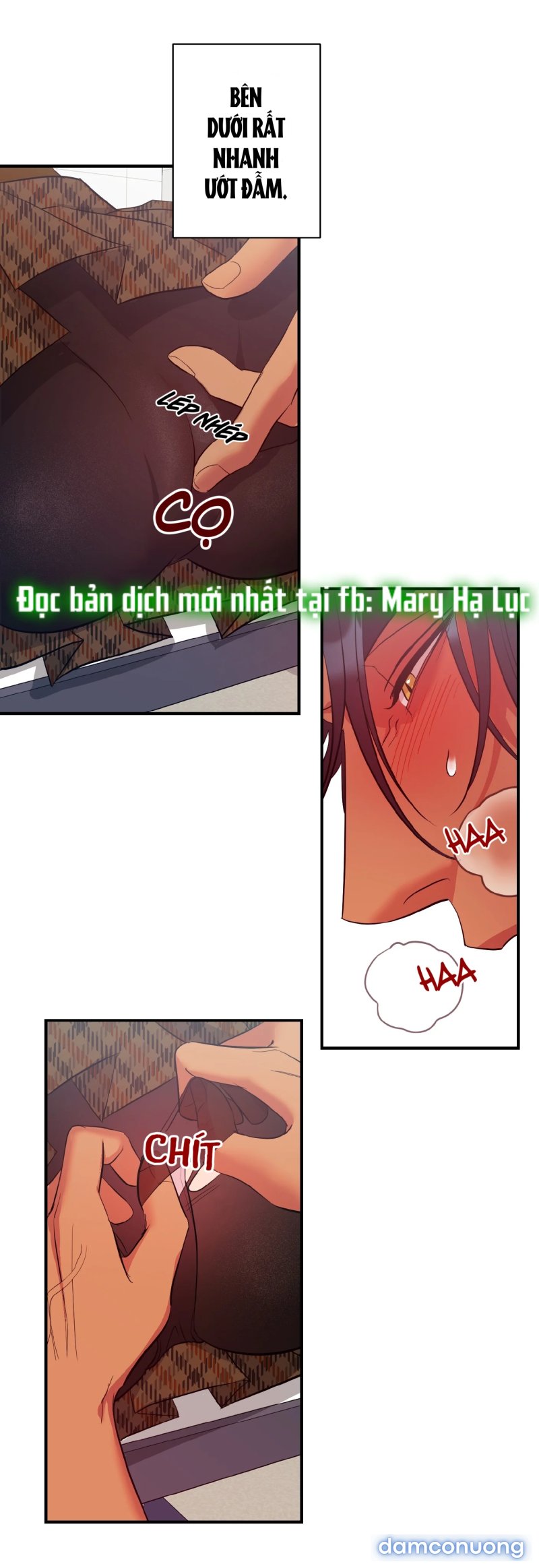 Một Lòng Một Dạ 