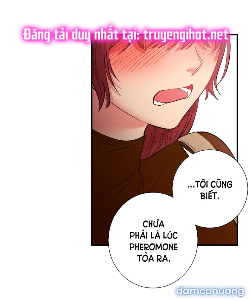 Một Lòng Một Dạ 