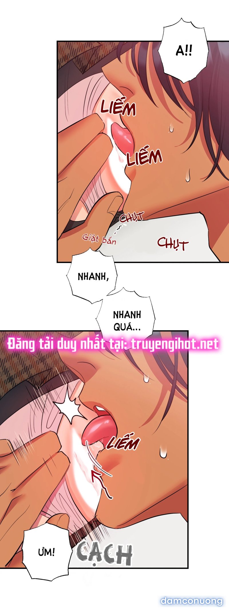 Một Lòng Một Dạ 