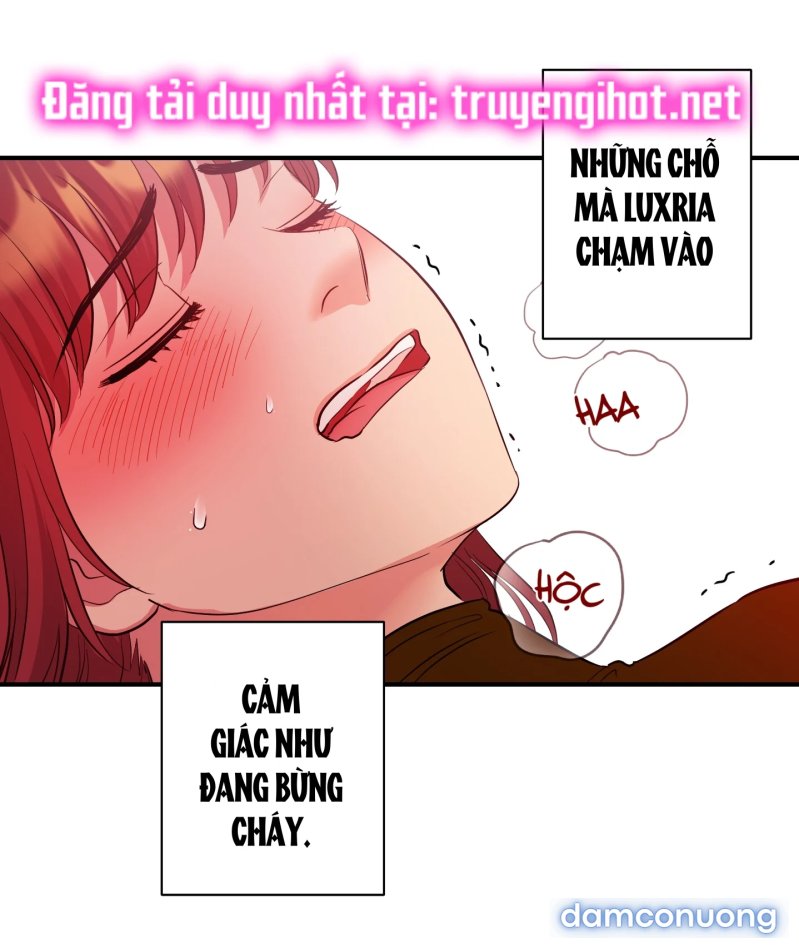 Một Lòng Một Dạ 