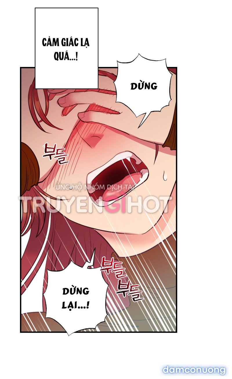 Một Lòng Một Dạ 