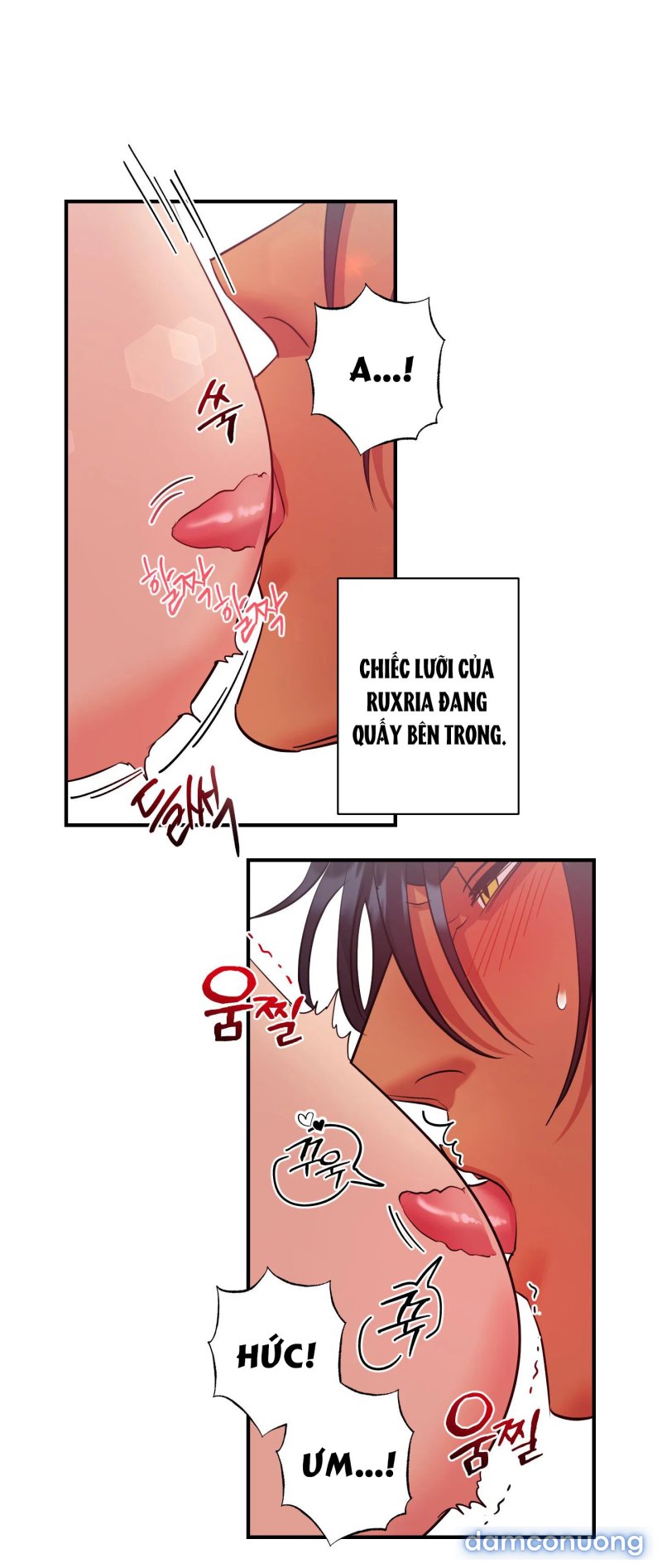 Một Lòng Một Dạ 