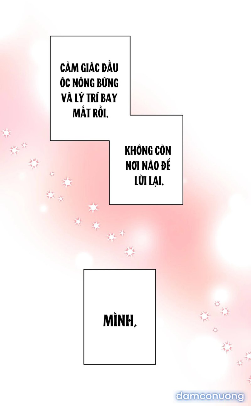 Một Lòng Một Dạ 