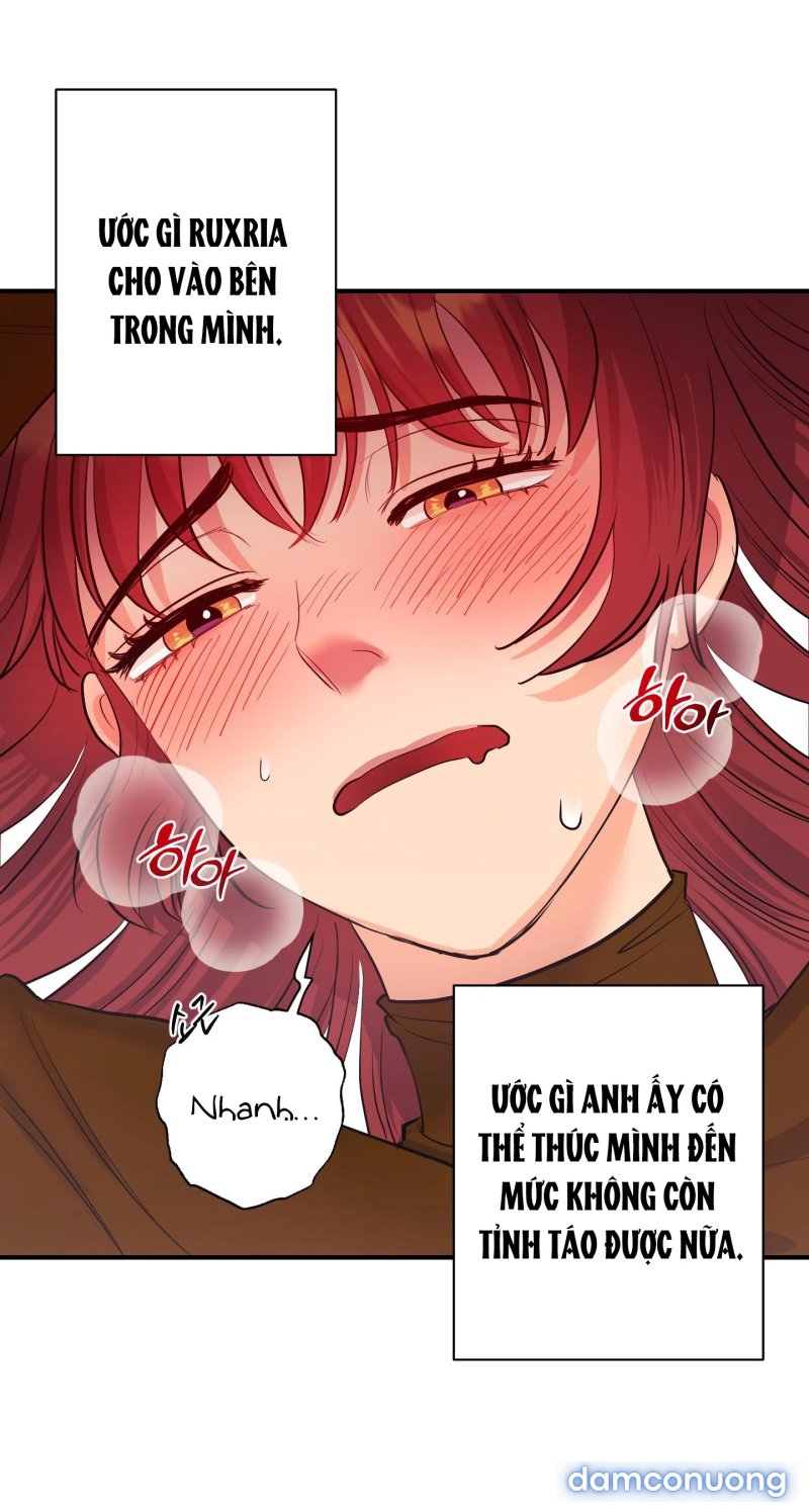 Một Lòng Một Dạ 